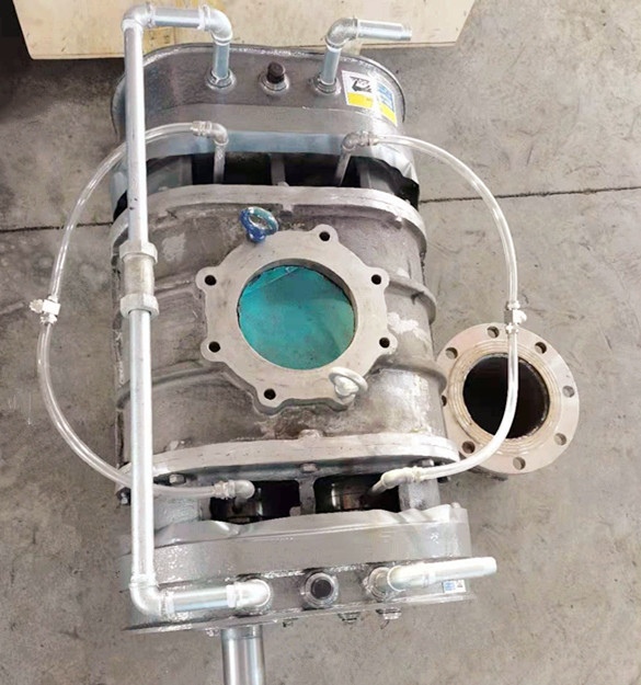 YLSR150L不銹鋼羅茨風機